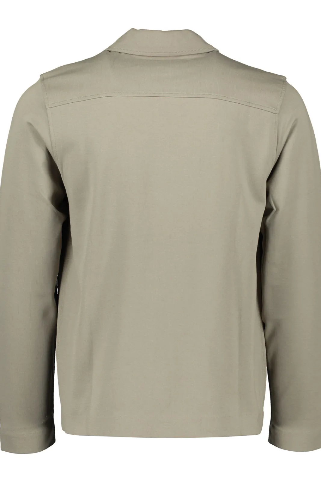 New Elvine Accius