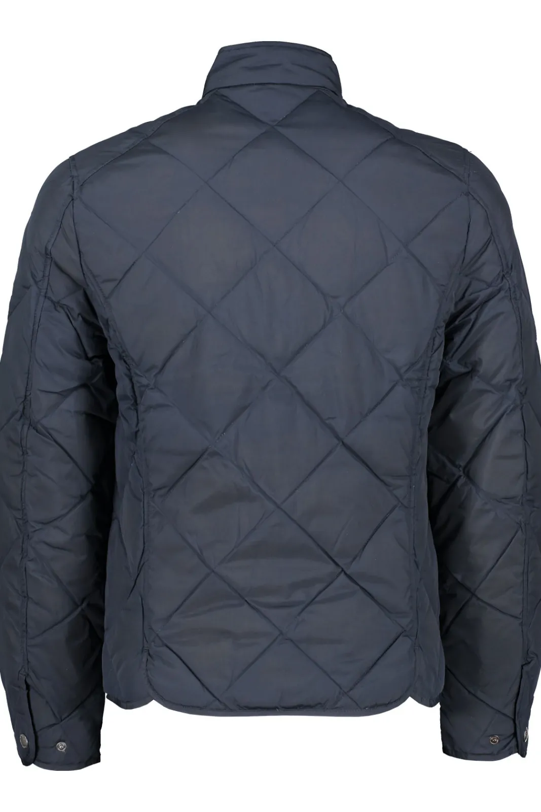 Shop MORRIS Brooks Lt Down Jacket