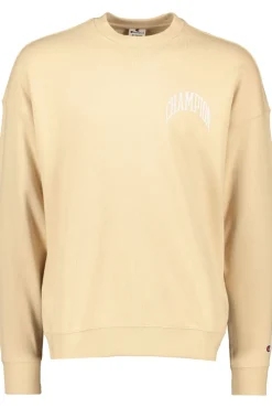 Flash Sale Champion Crewneck Sweatshirt