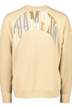 Flash Sale Champion Crewneck Sweatshirt