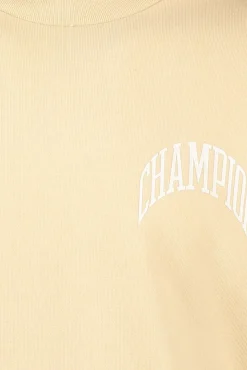 Flash Sale Champion Crewneck Sweatshirt