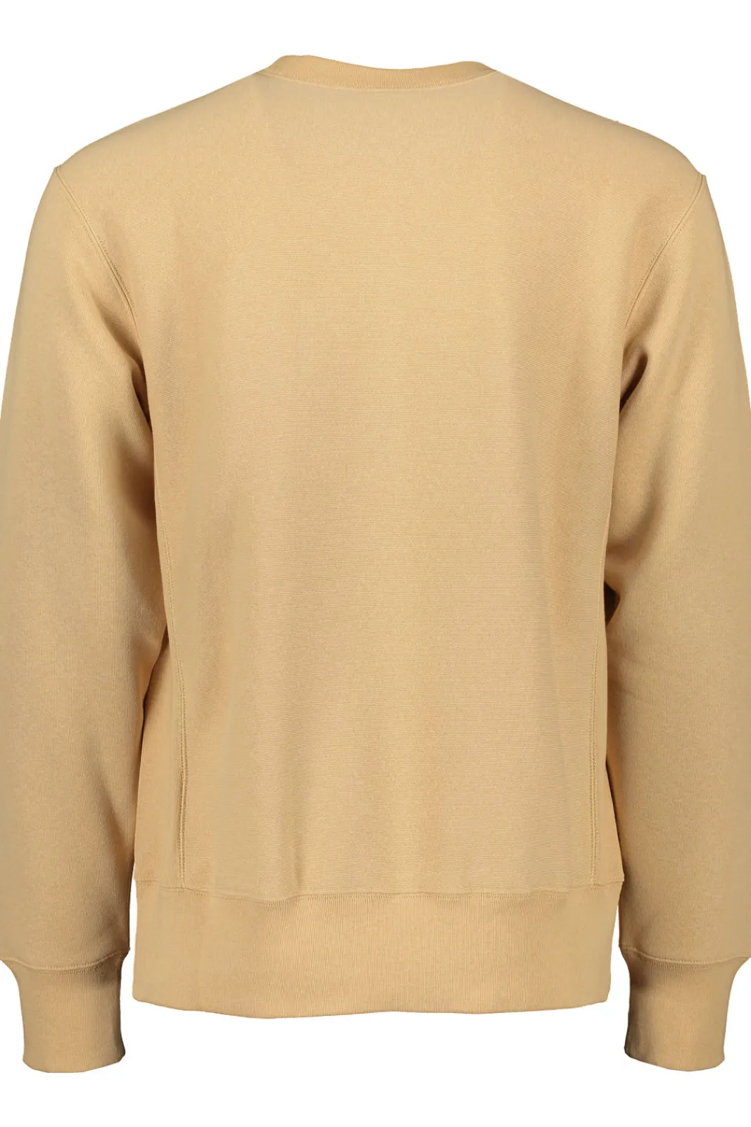 Hot Champion Crewneck Sweatshirt