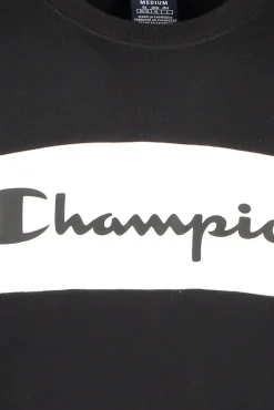 Flash Sale Champion Crewneck Sweatshirt