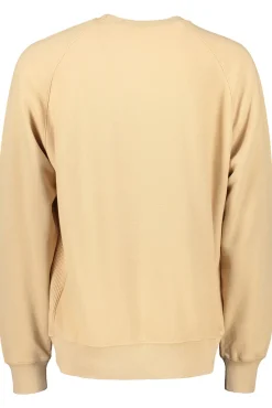 Hot Champion Crewneck Sweatshirt