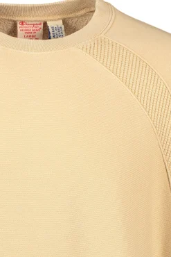 Hot Champion Crewneck Sweatshirt