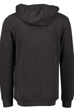 Flash Sale HELLY HANSEN Hh Logo Hoodie