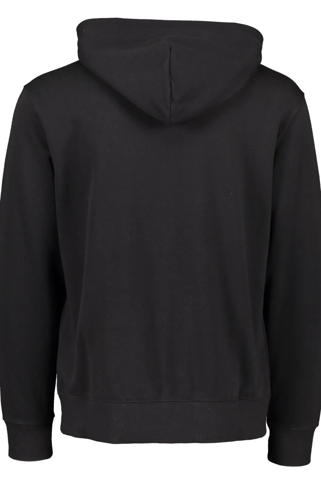 Best Champion Hooded Full Zip Sweatshirt