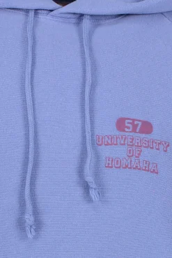 Best Champion Hooded Sweatshirt