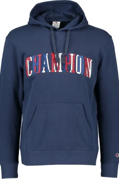 Flash Sale Champion Hooded Sweatshirt