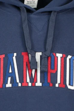 Flash Sale Champion Hooded Sweatshirt