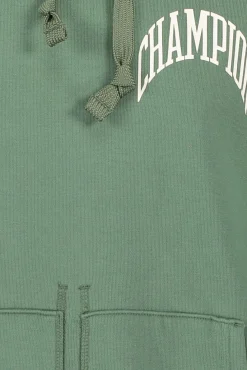Flash Sale Champion Hooded Sweatshirt