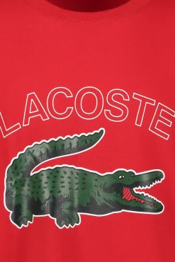 Flash Sale LACOSTE T-Shirt