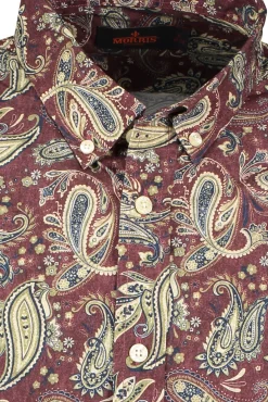 Clearance MORRIS Layne Button Down Shirt